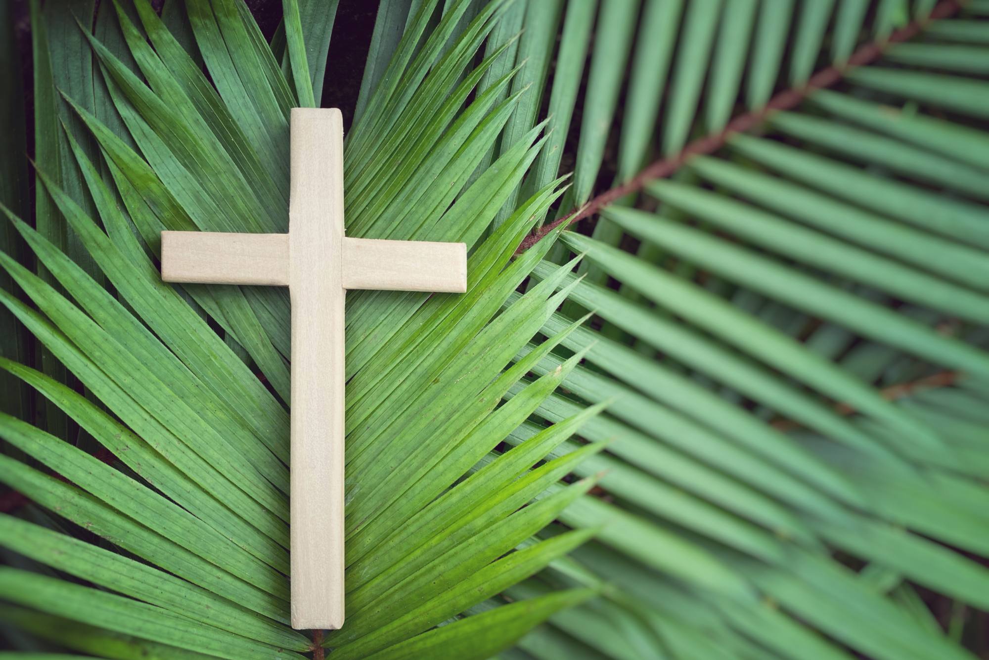 OGŁOSZENIA   Niedziela Palmowa   29 Marca 2026